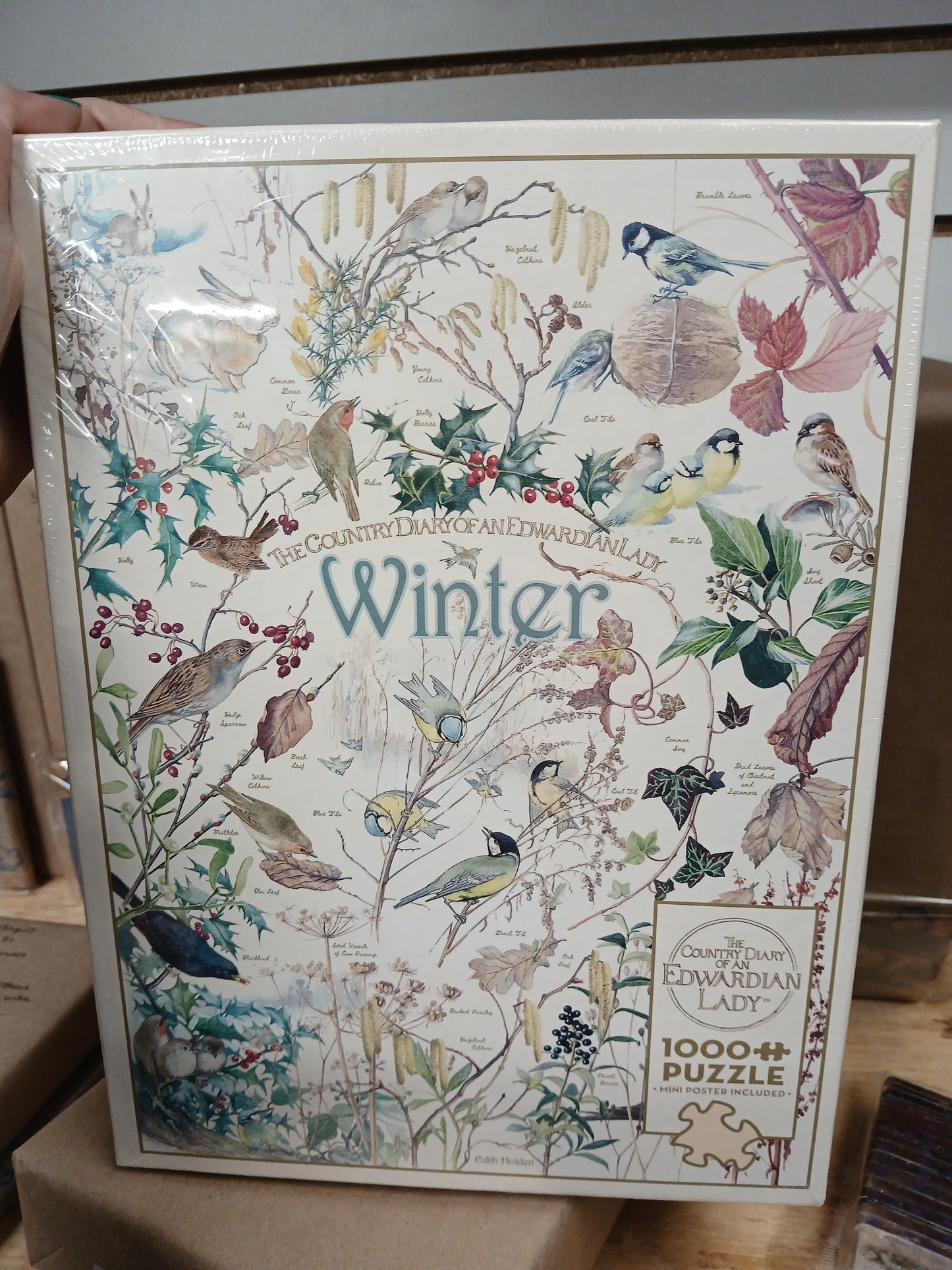 The Country Diary of an Edwardian Lady Winter