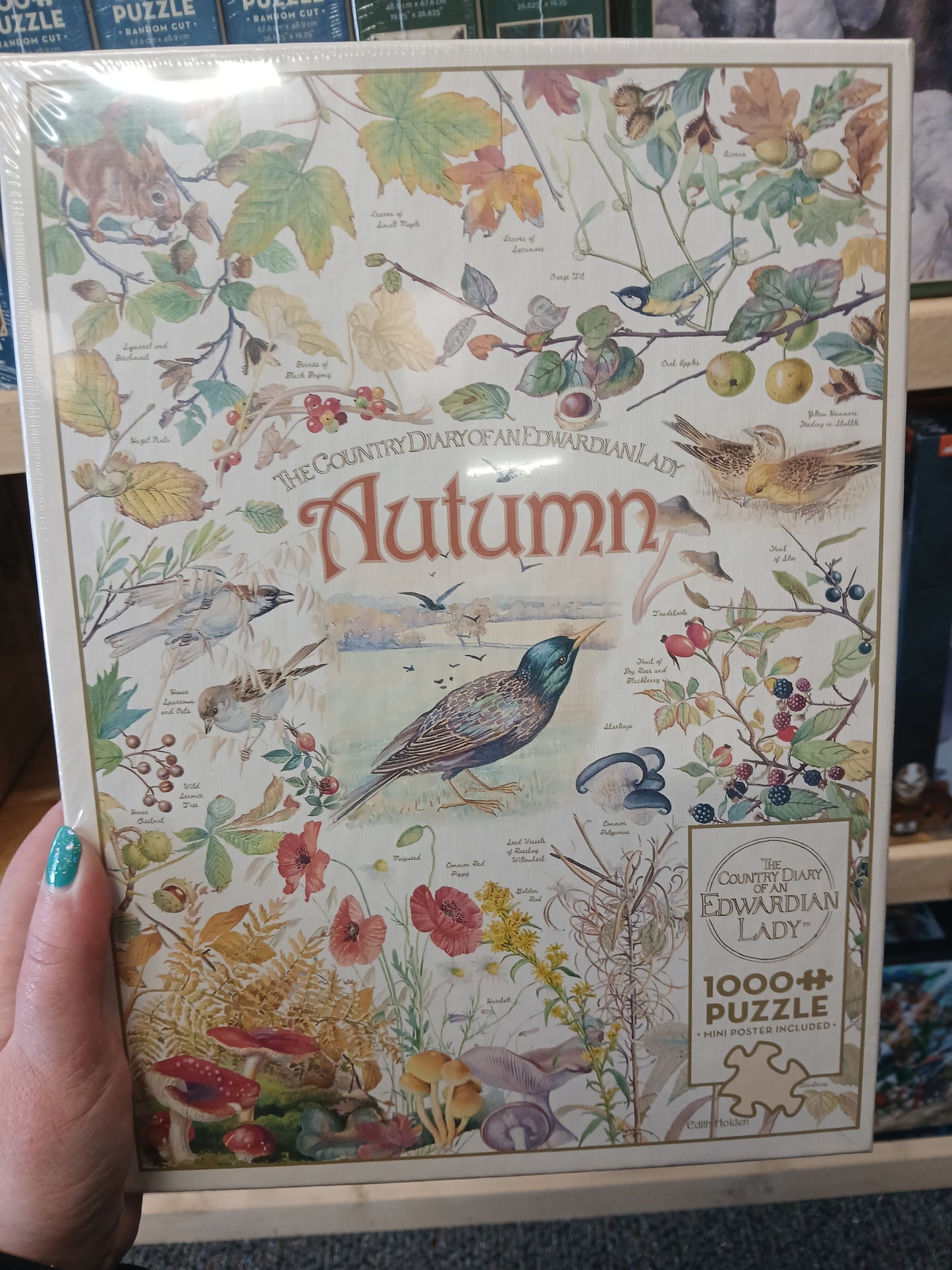 The Country Diary of an Edwardian Lady Autumn