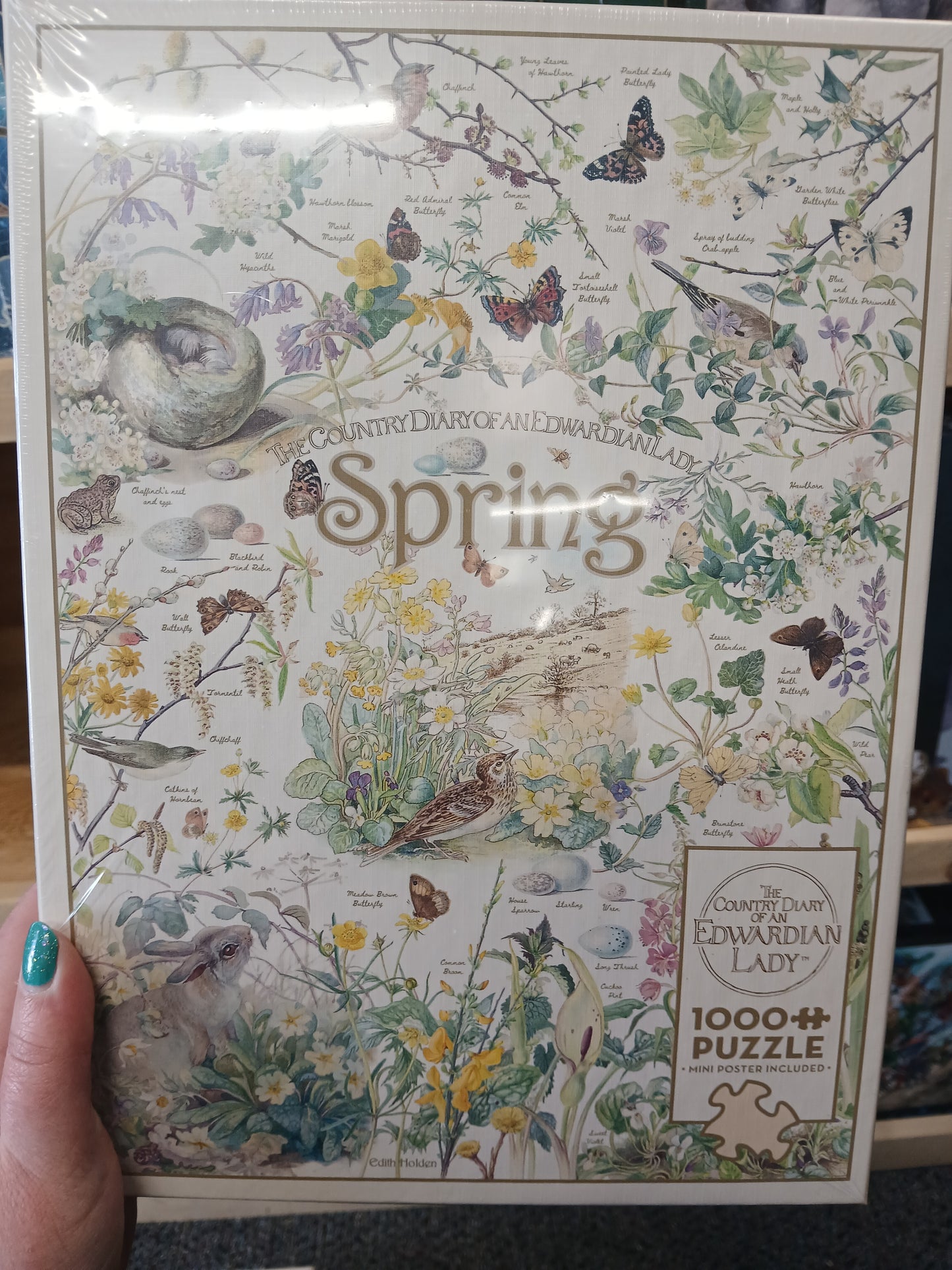 The Country Diary of an Edwardian Lady Spring