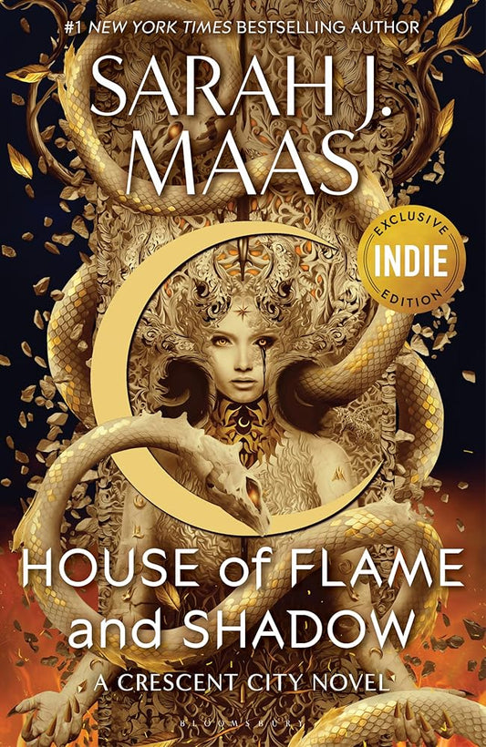 House of Flame and Shadow cover image