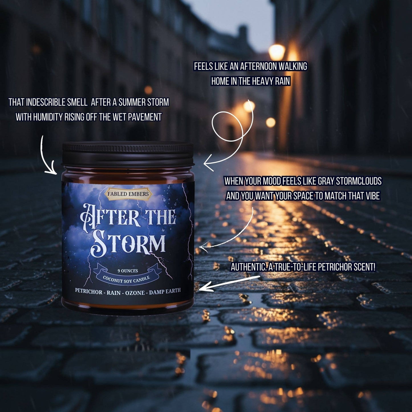 AFTER THE STORM mood setting 9oz Candle Coconut Soy