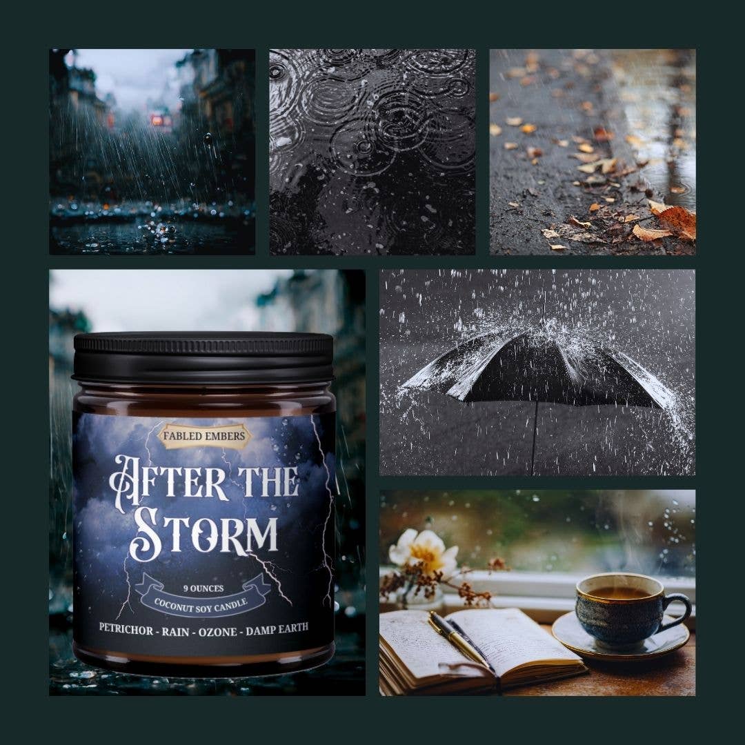 AFTER THE STORM mood setting 9oz Candle Coconut Soy