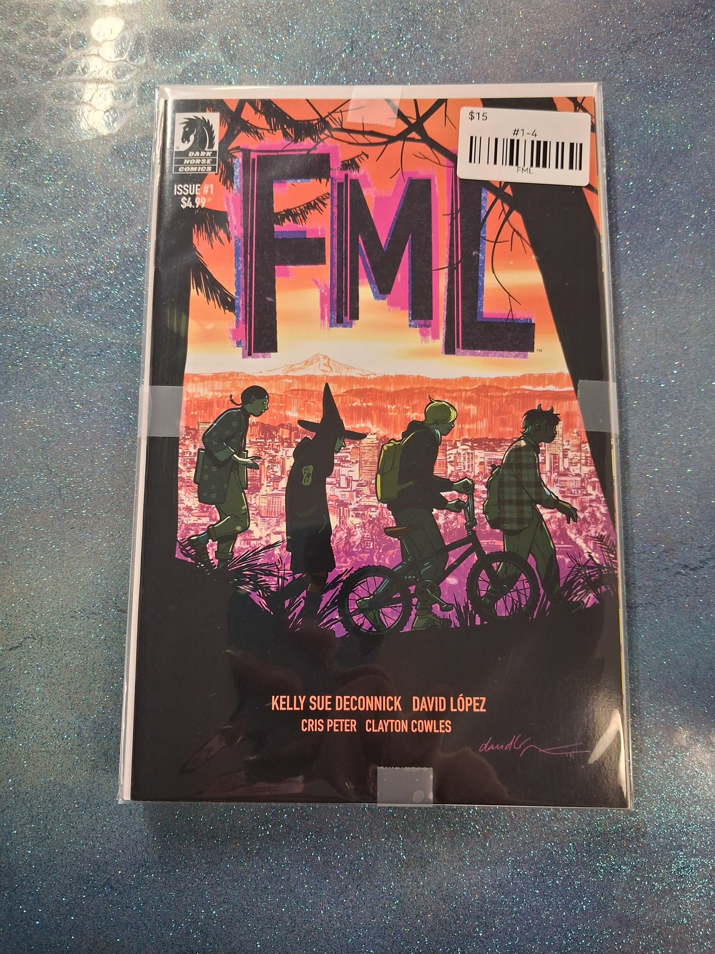 FML Issues 1-4